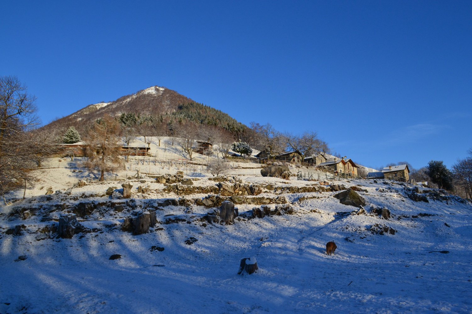 Alpe Marcalone con dietro il Monte Giove