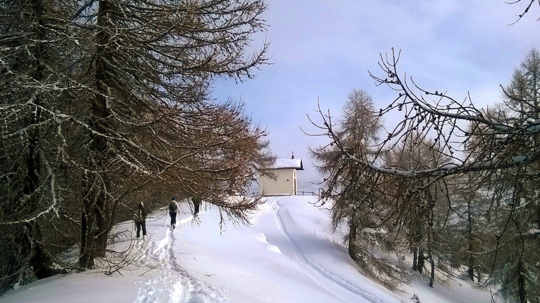 Arrivo al Cotolivier