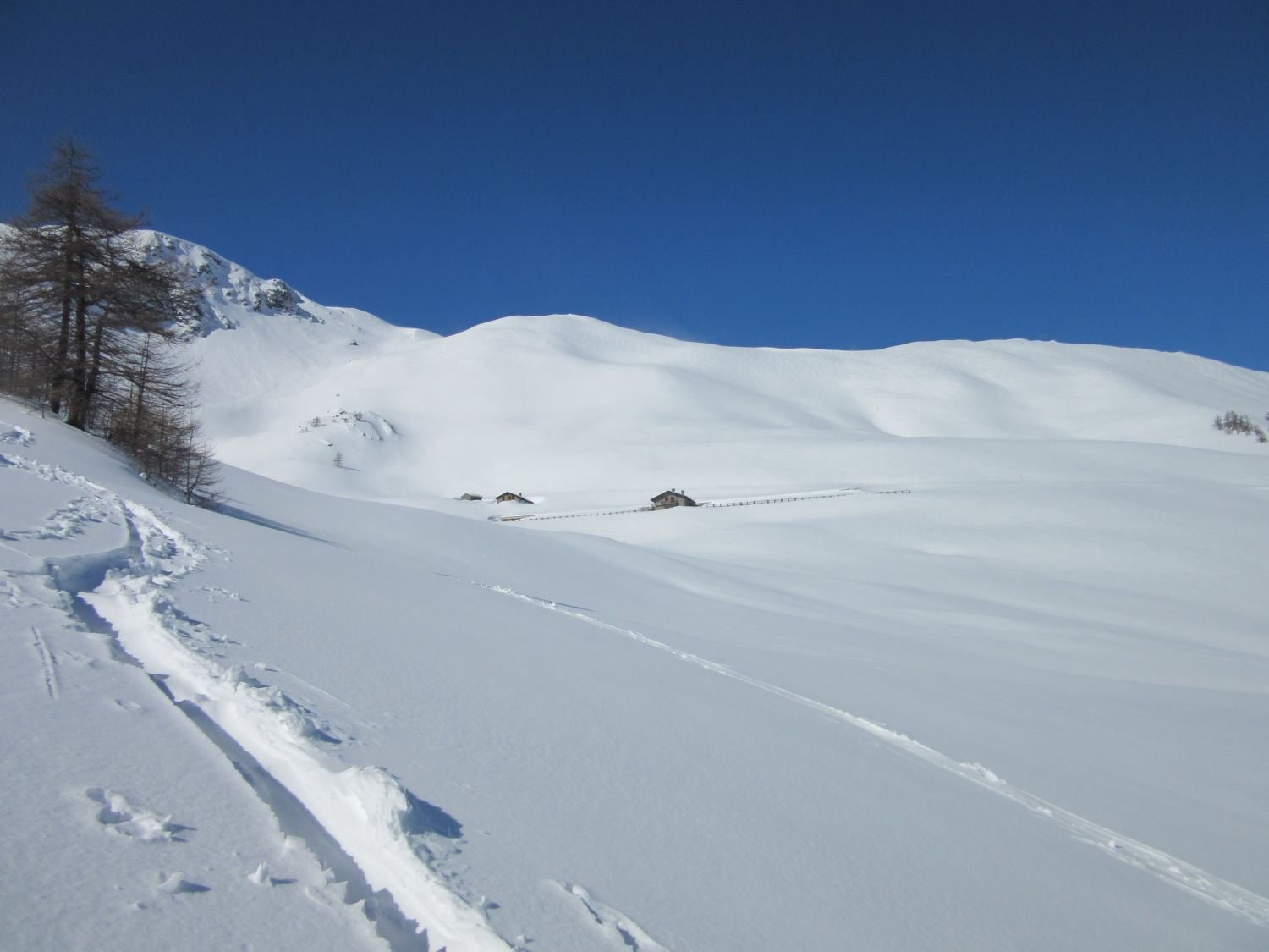 Arrivato all'altezza dell'Alpe Tsa Chaligne