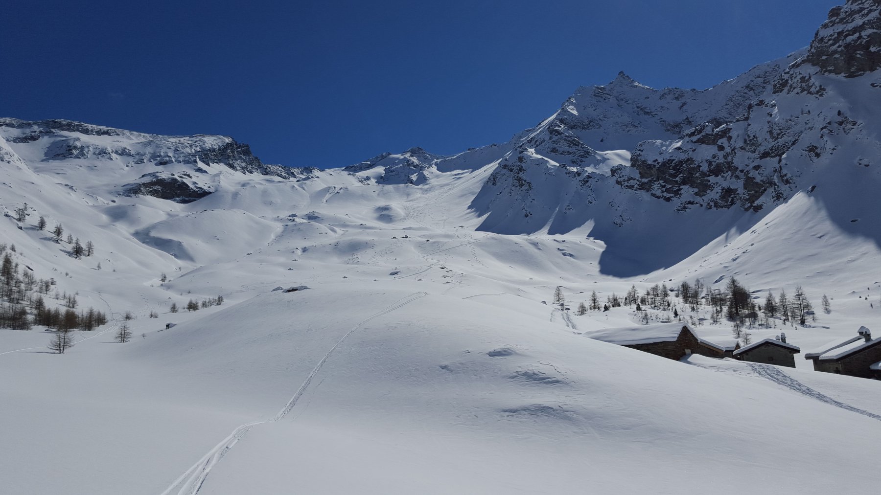 all'uscita del bosco ... con la pancia piena