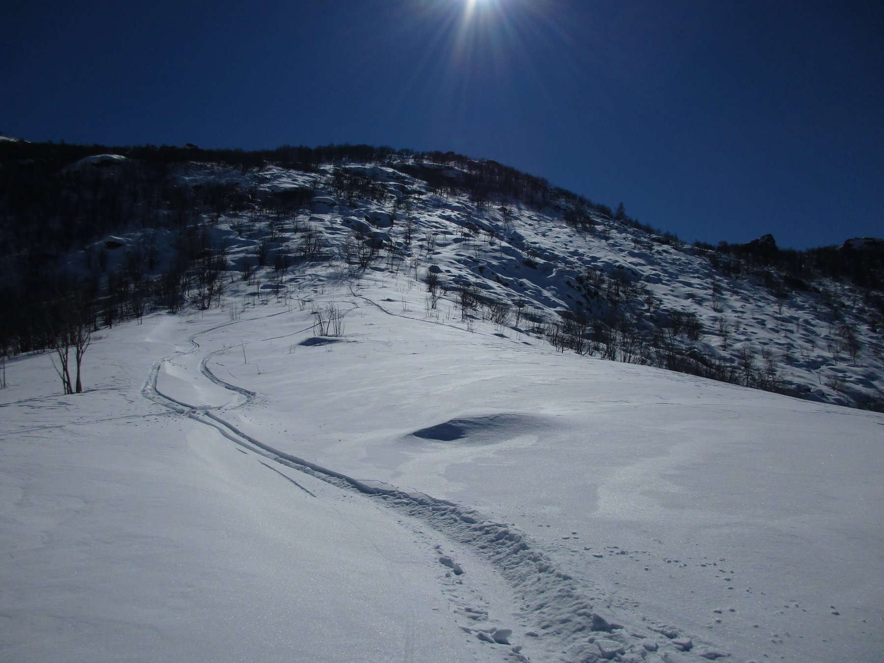 inizio della boschina