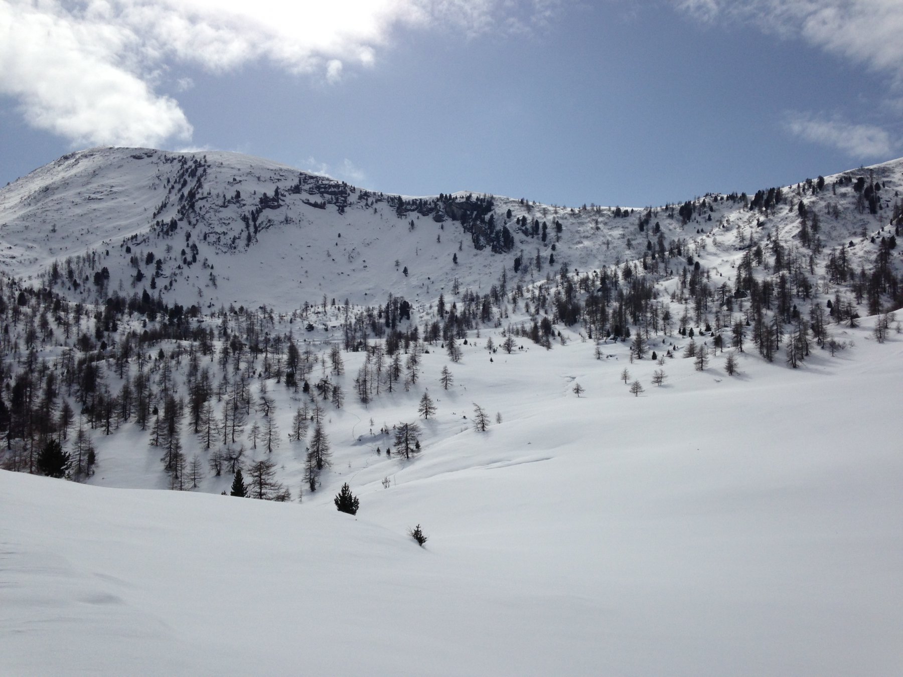 Monte Nebin da Pian delle Baracche