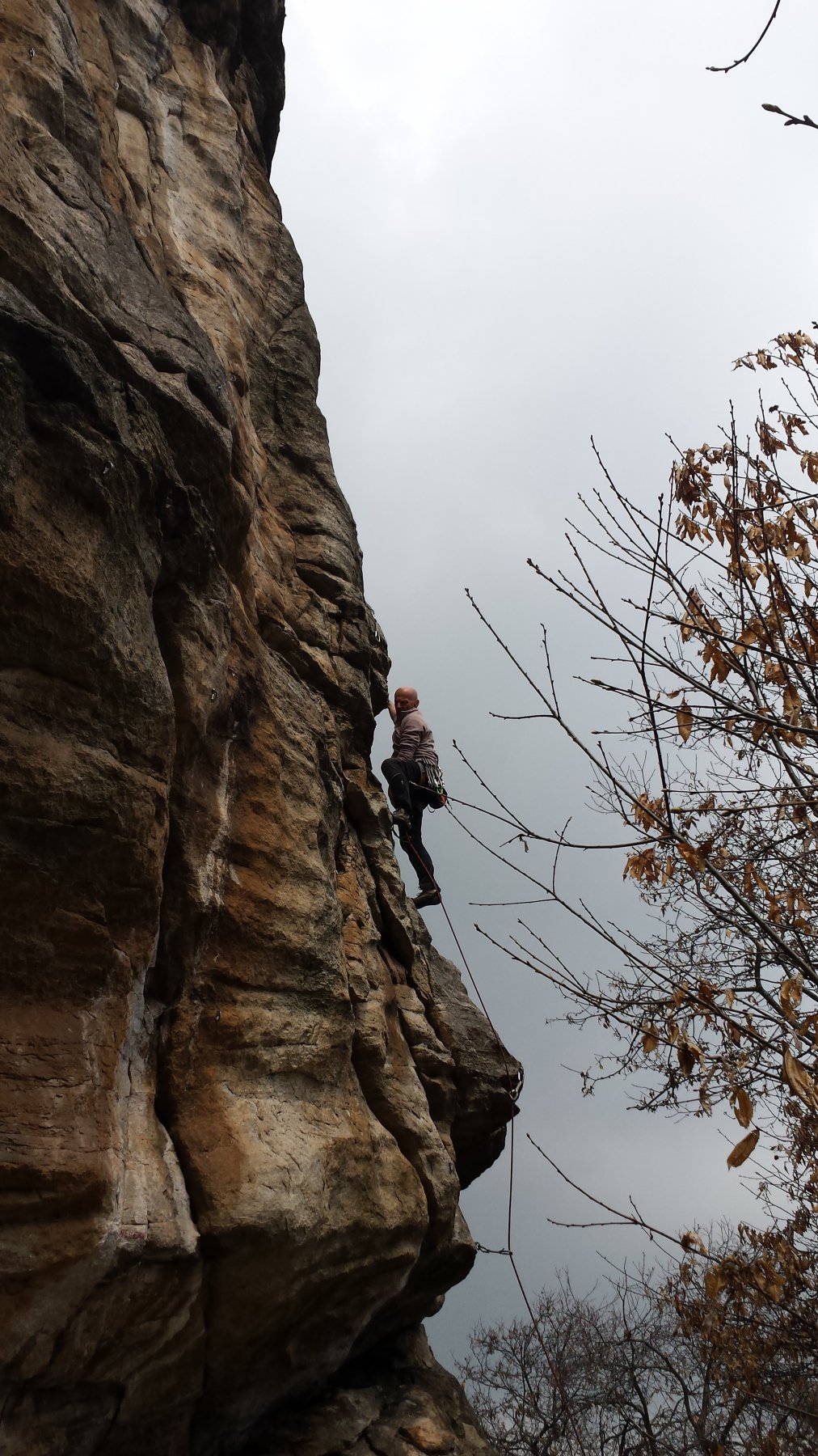 Pippo su Siate affamati