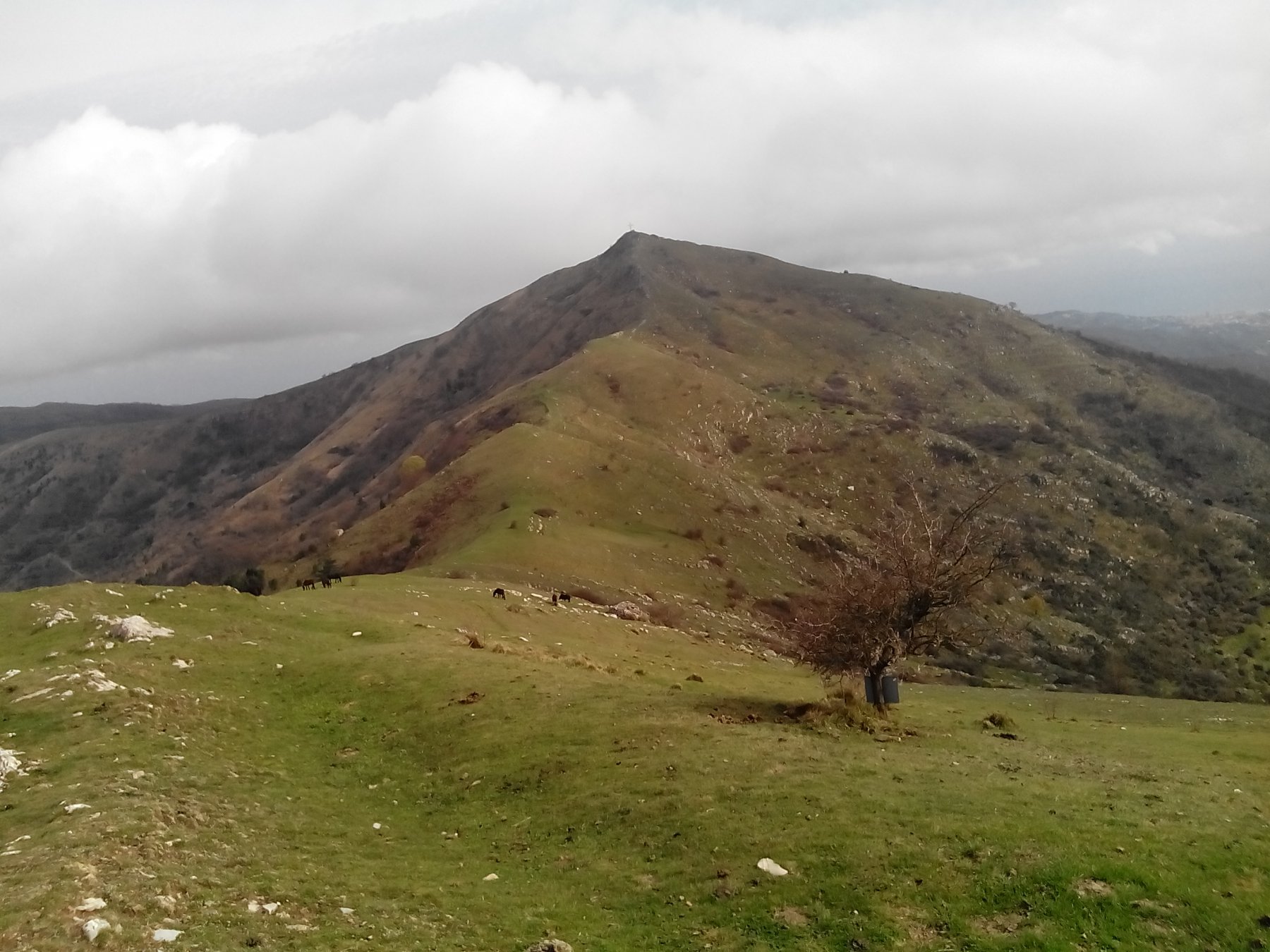 pizzo d' Evigno visto da Pizzo Montin.