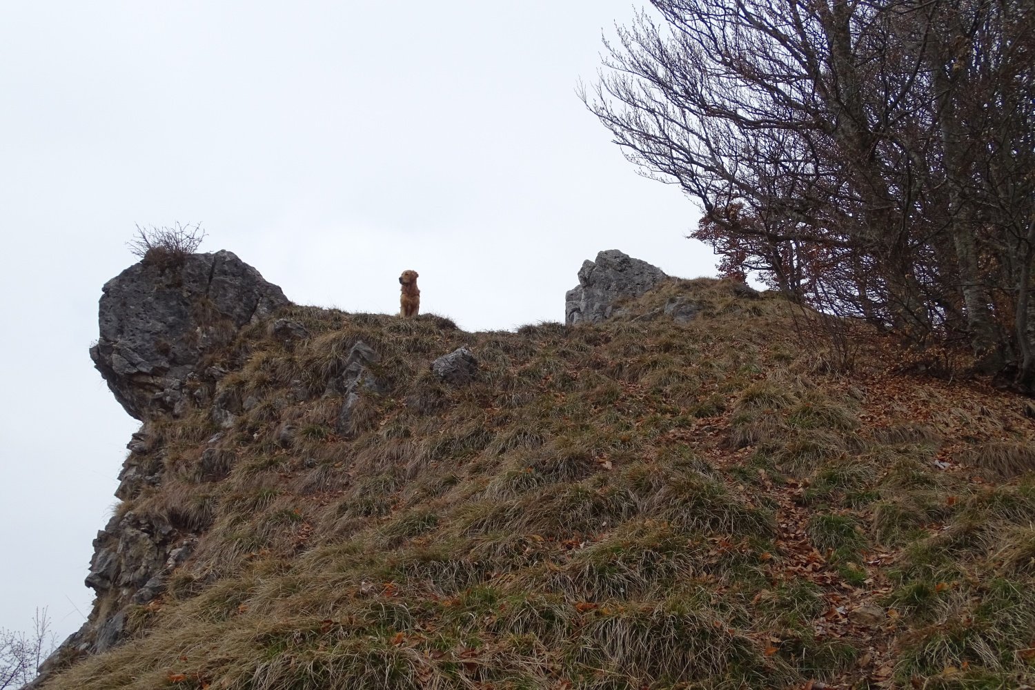 sulla breve dorsale in direzione della cima