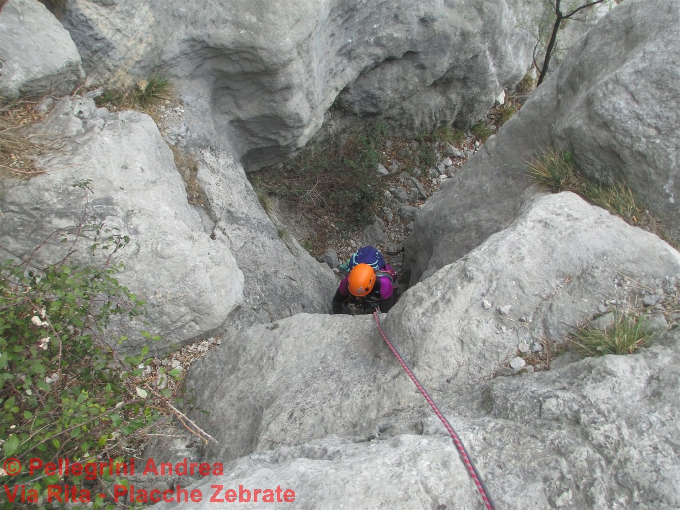 IMG_1808 Stefania su L8