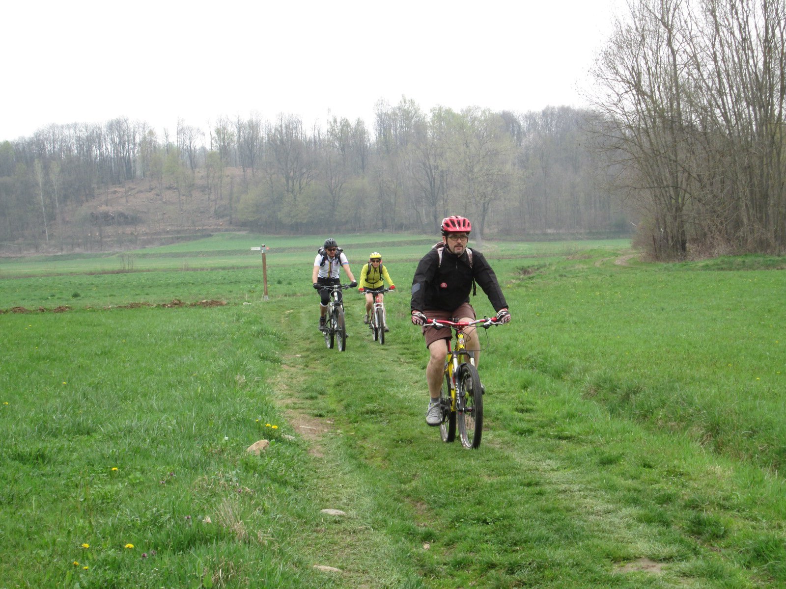 un bel tratto nei prati