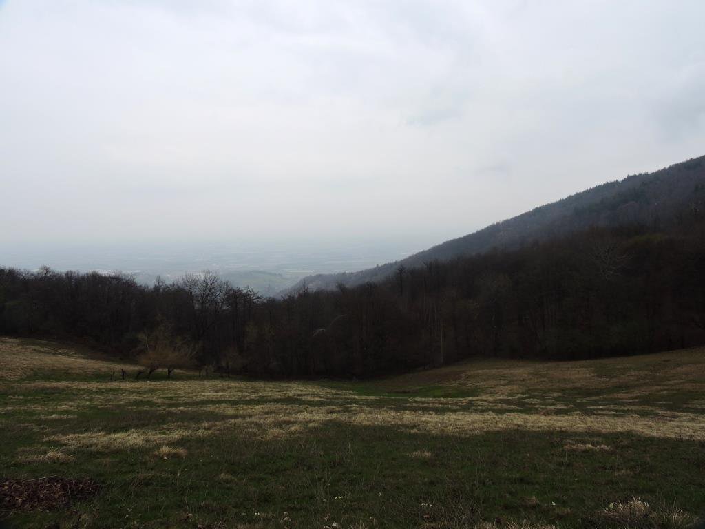 Veduta (per quel che si può) sulla pianura