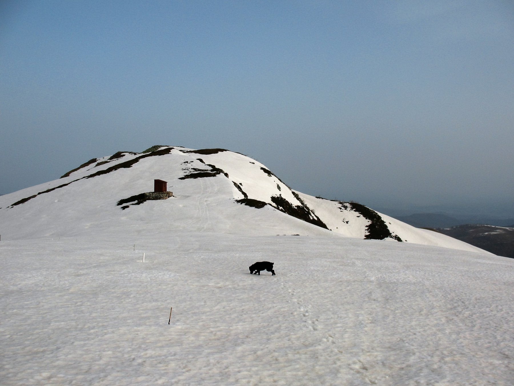 Verso il Mussiglione