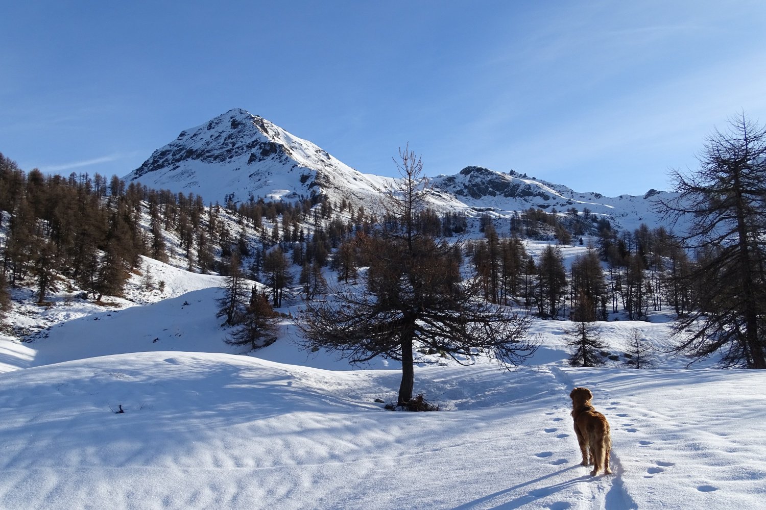 è ben visibile la meta