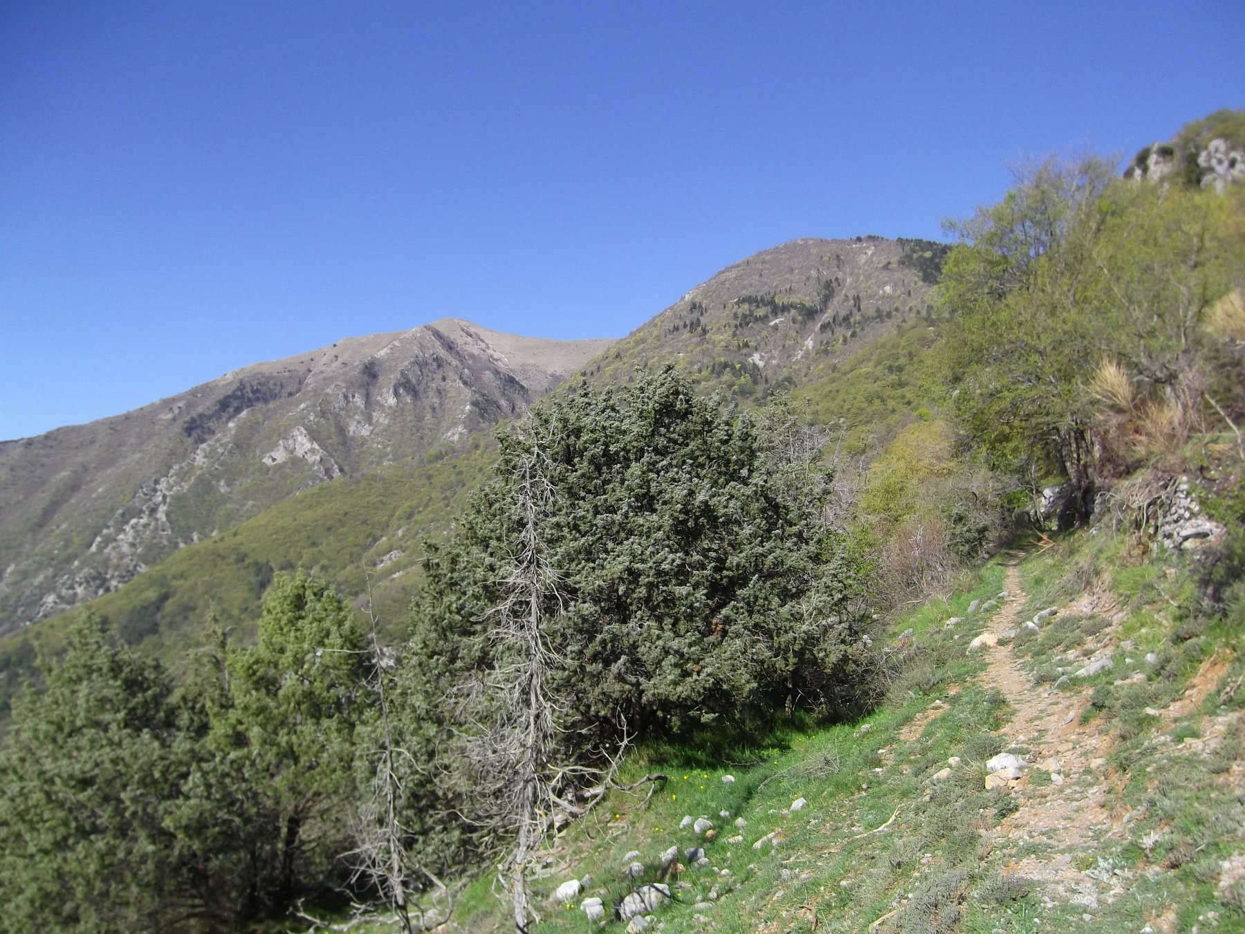 Il Mangiabo' a sx visto da sopra Campe'.