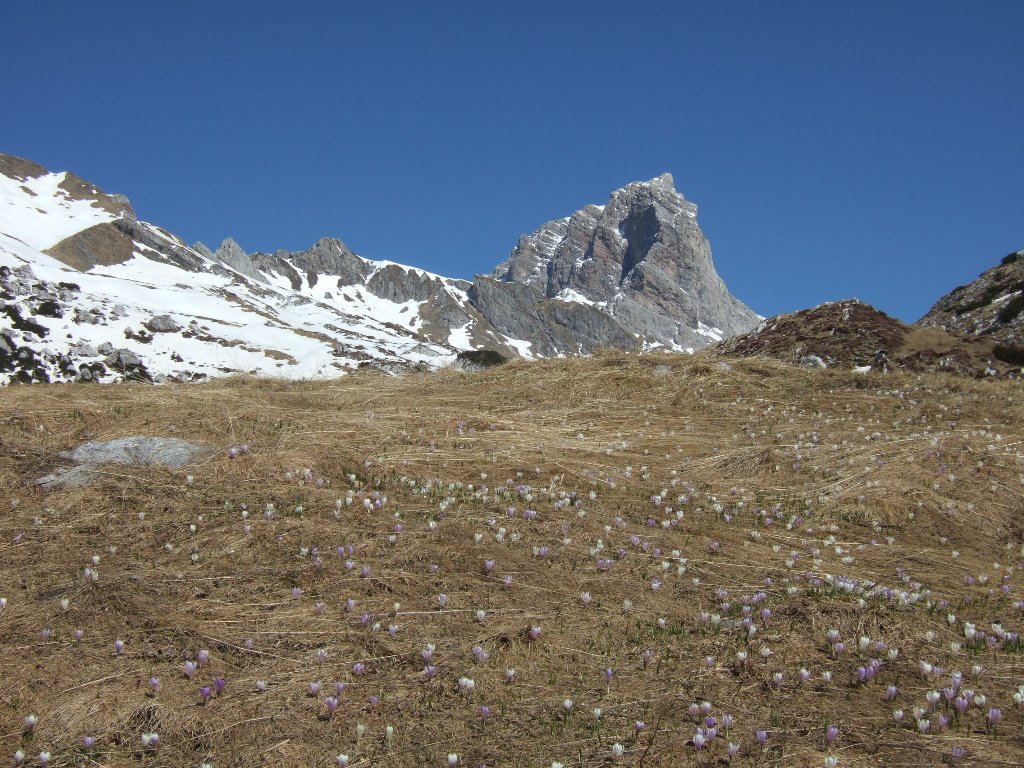 il Duranno dai pressi della forcella