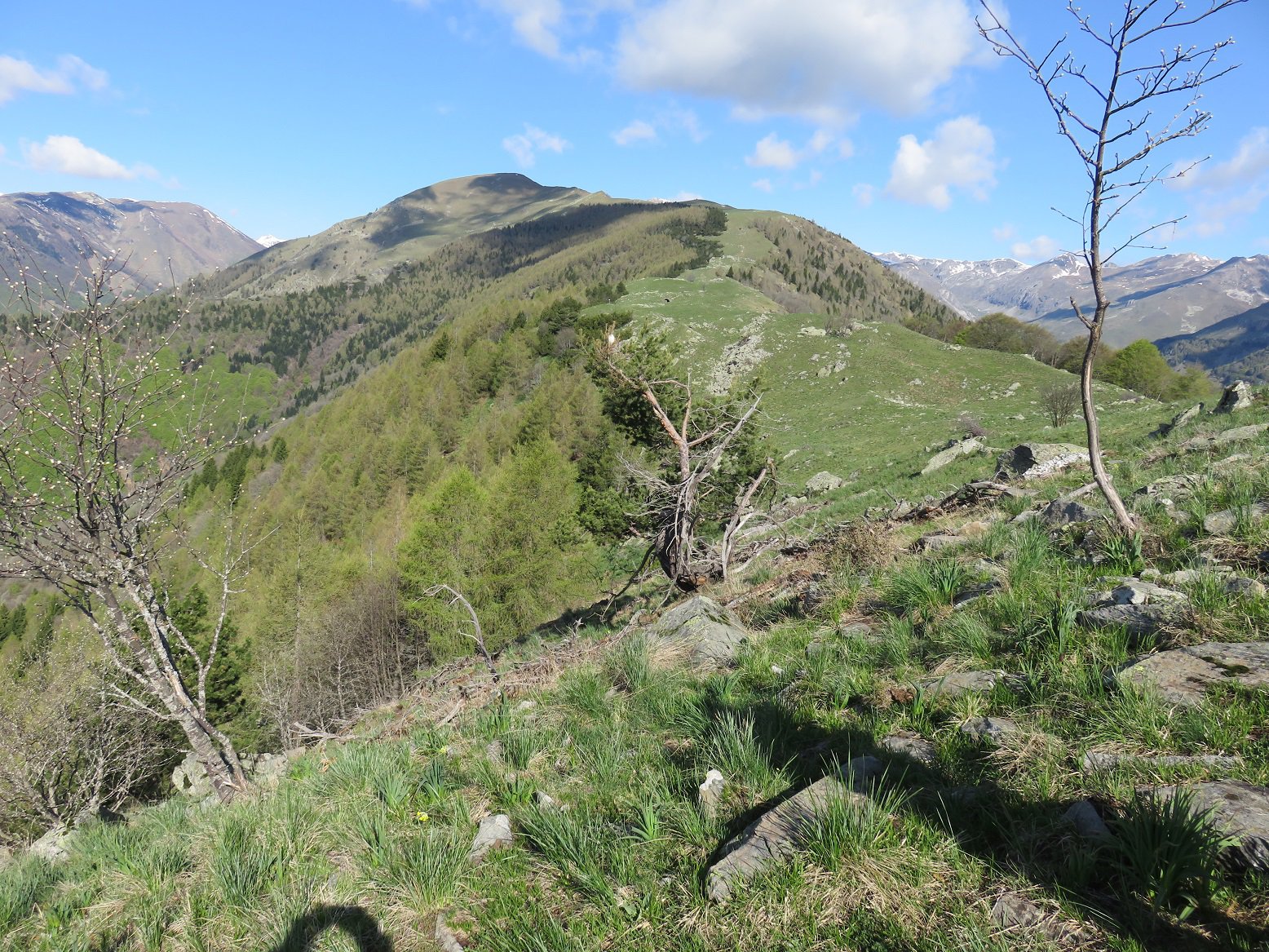 Sulla dorsale