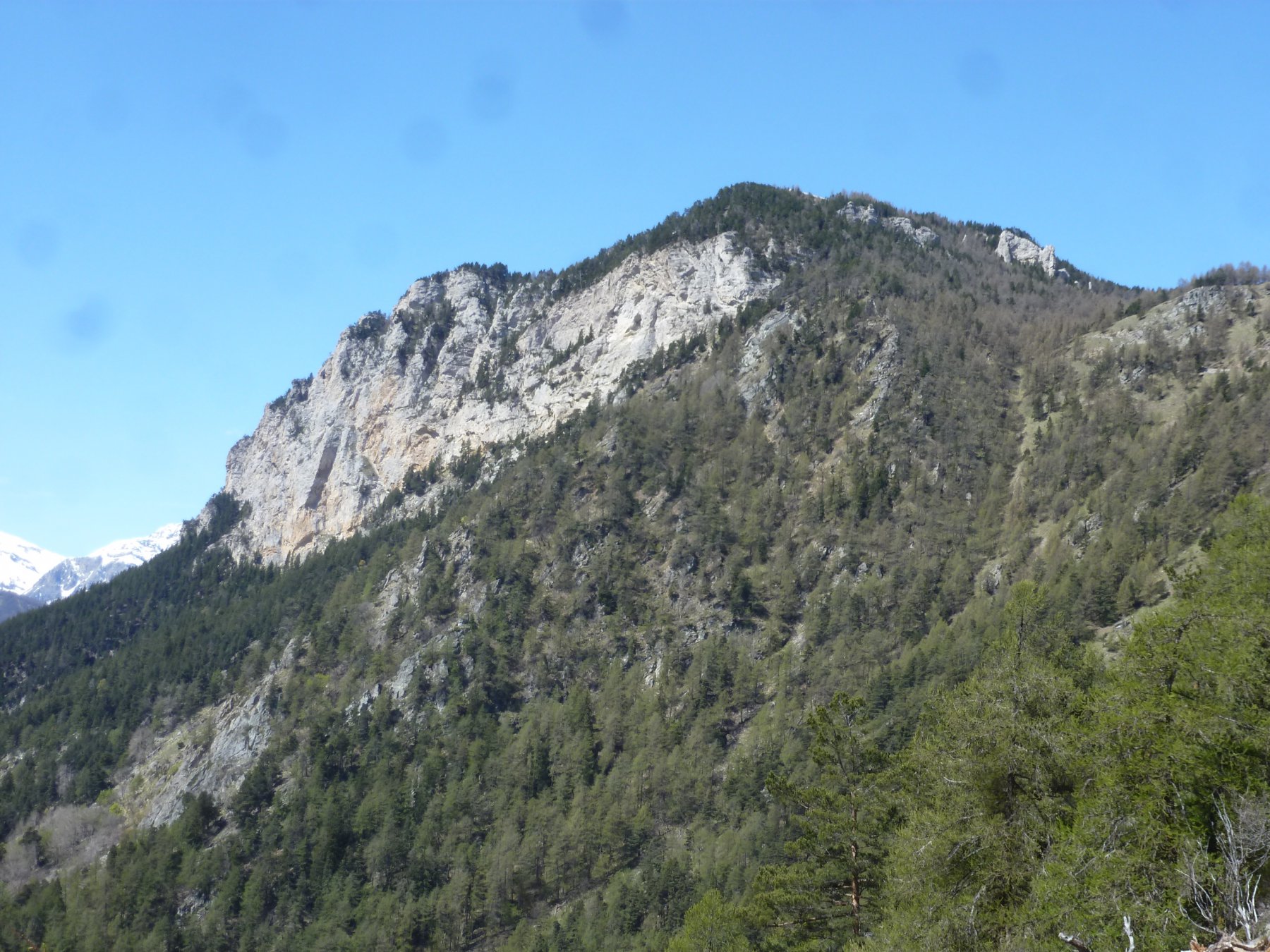 monte pramand