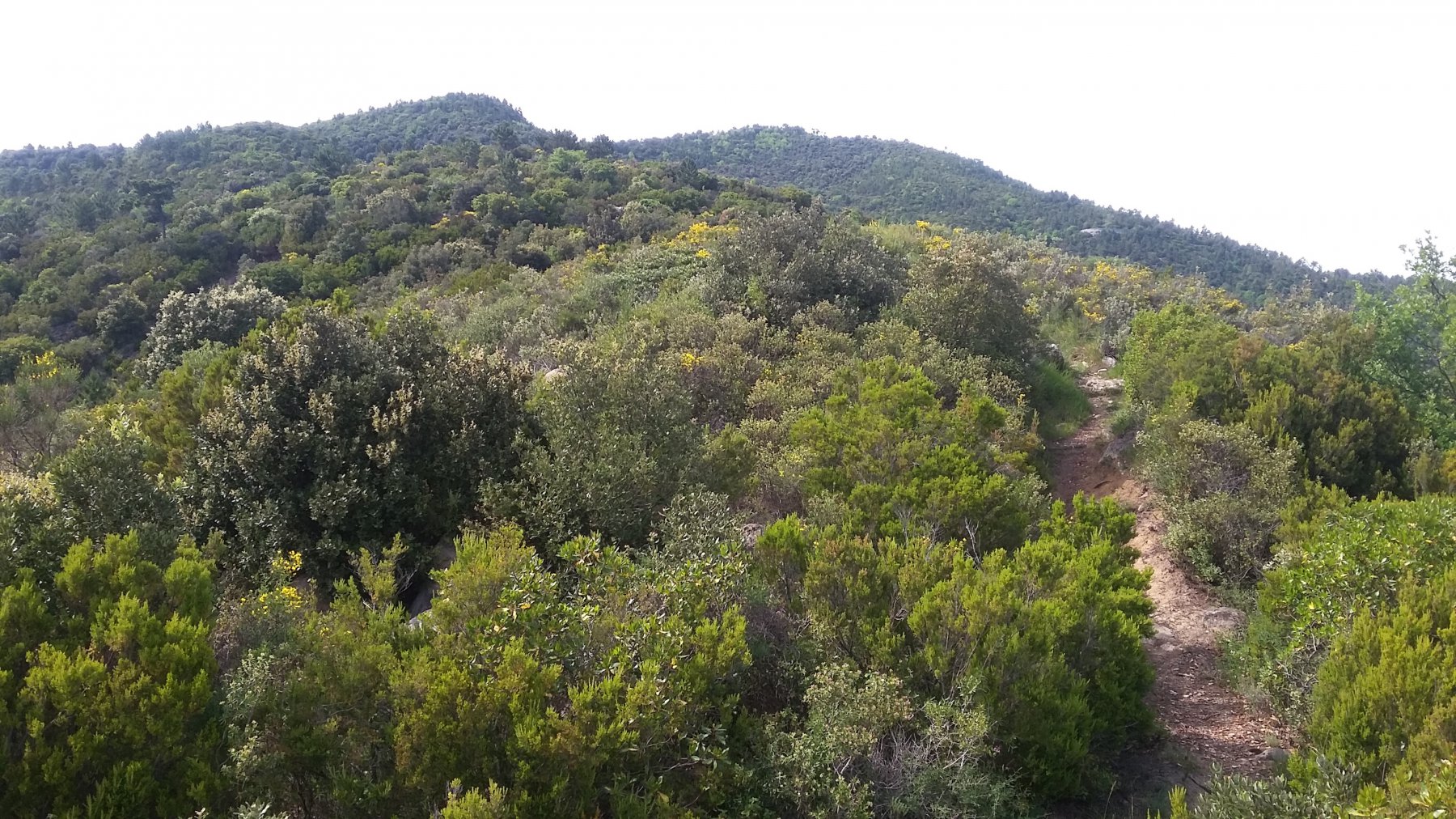 salendo verso il Monte Carparo