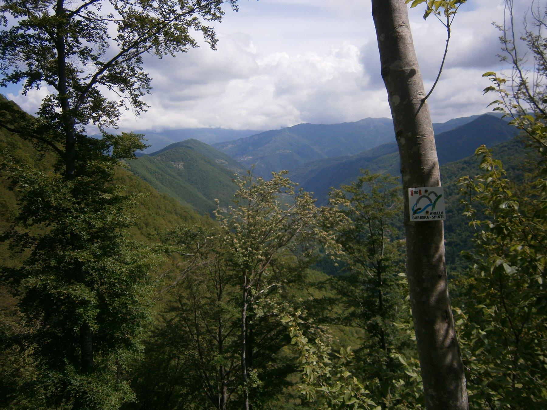 panorama verso Valle  Rio dei Campassi