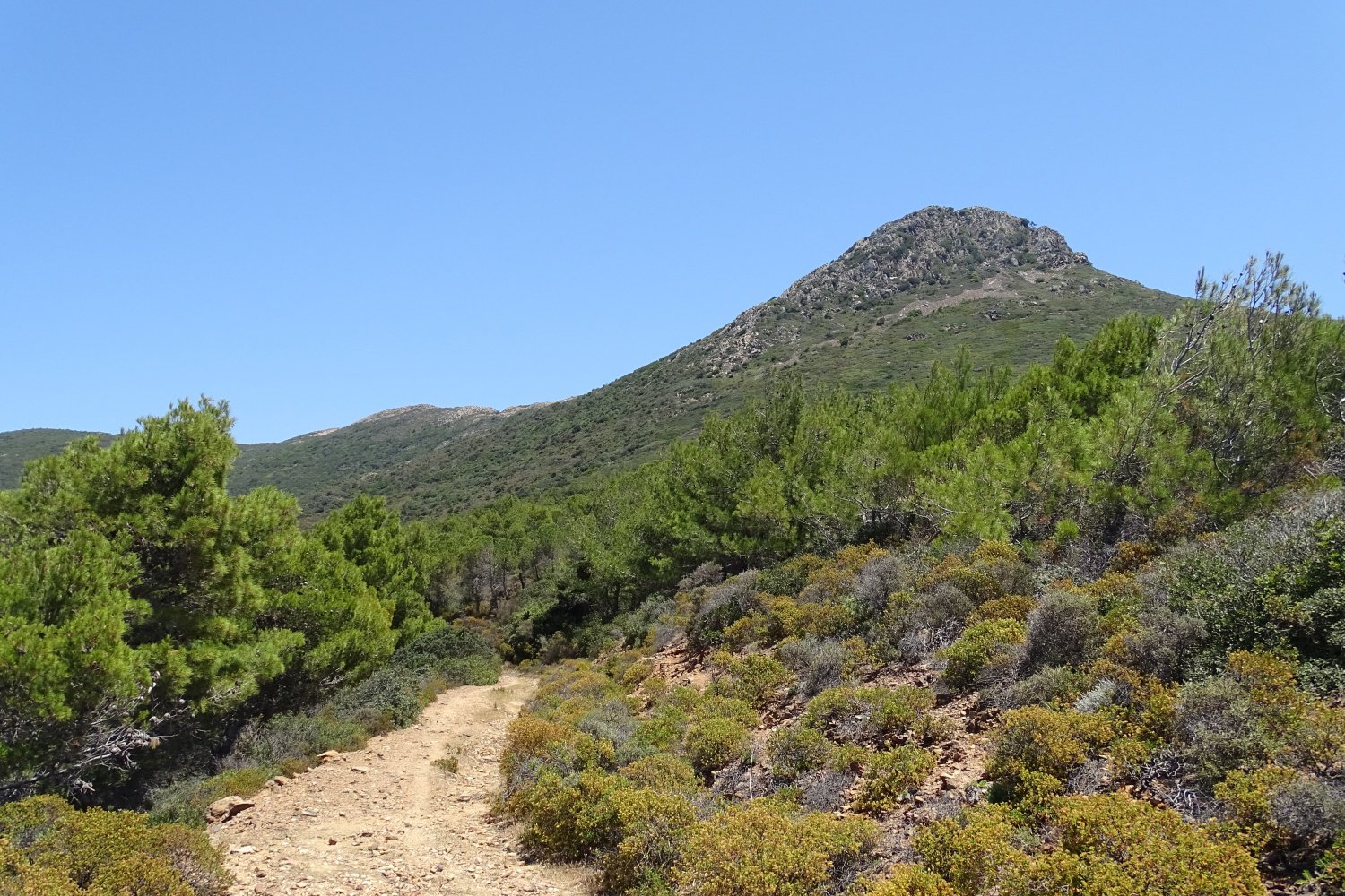 sul sentiero in direzione dell'evidente punta
