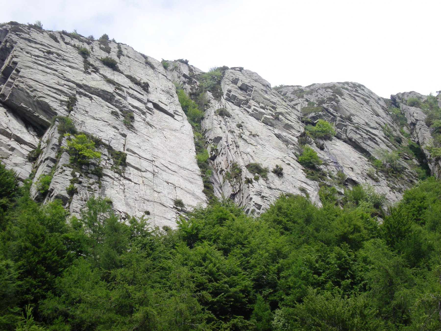 mai visto tanto verde alla Placche!