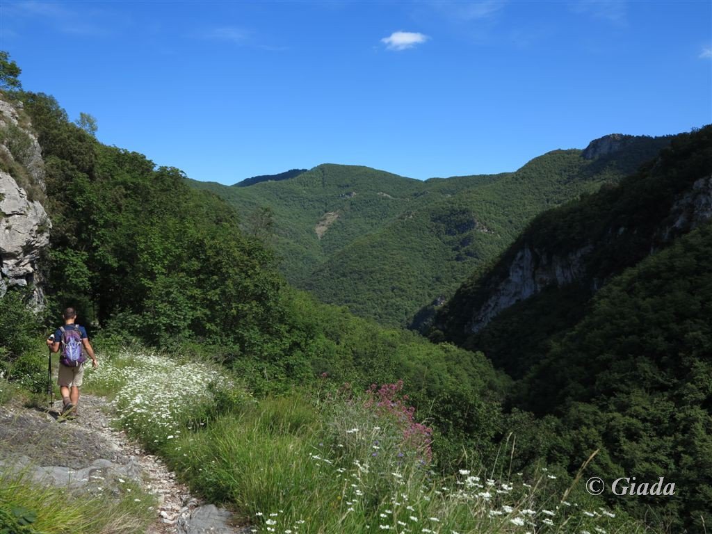 Lungo il sentiero verso Alto