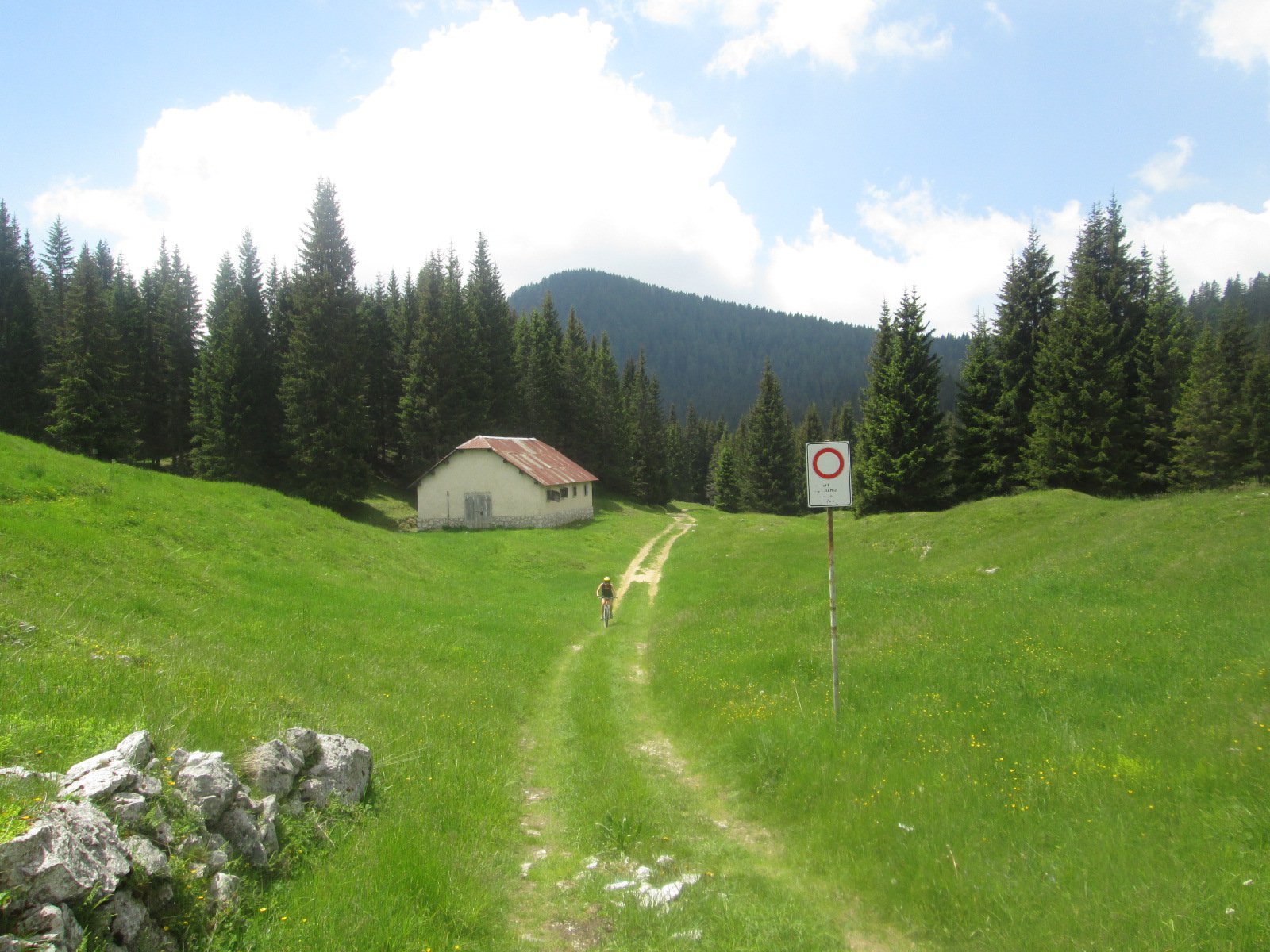 bel tratto su prati verso la Malga Camposecco
