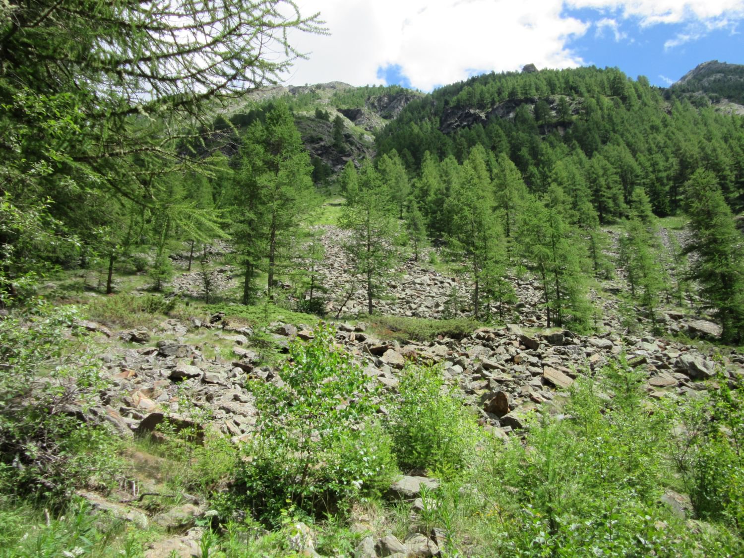 Il primo tratto ripidissimo