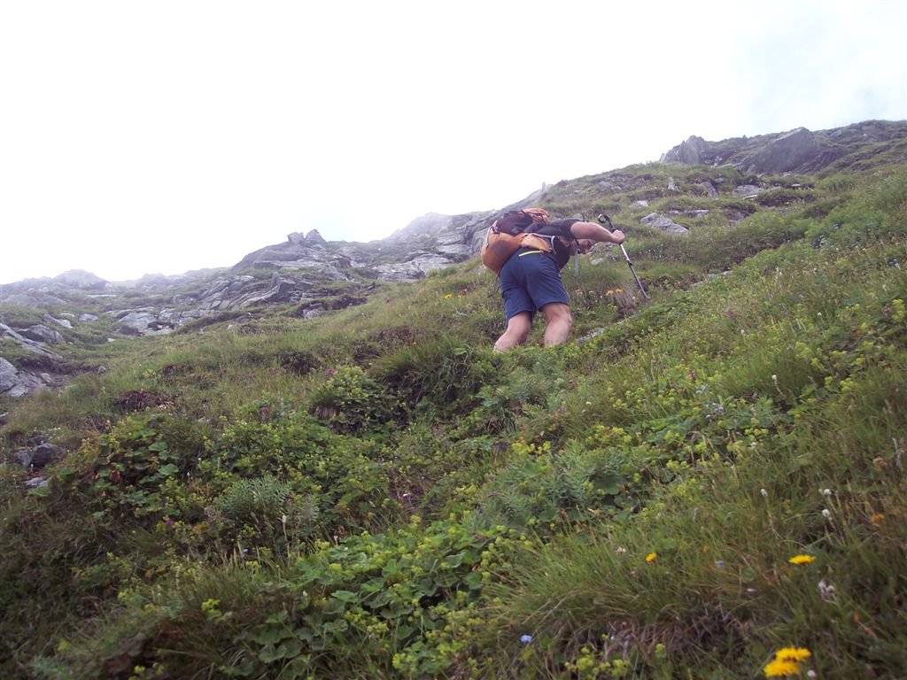 verso il passo del Gatto