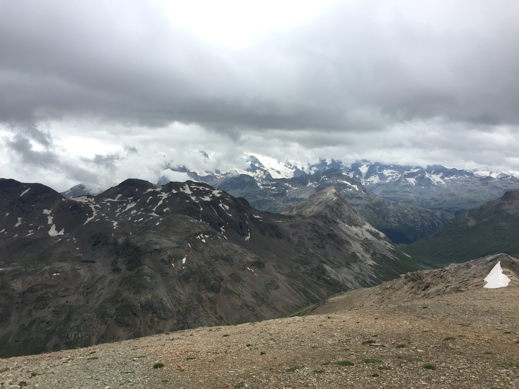 Vista sul Bernina dalla vetta