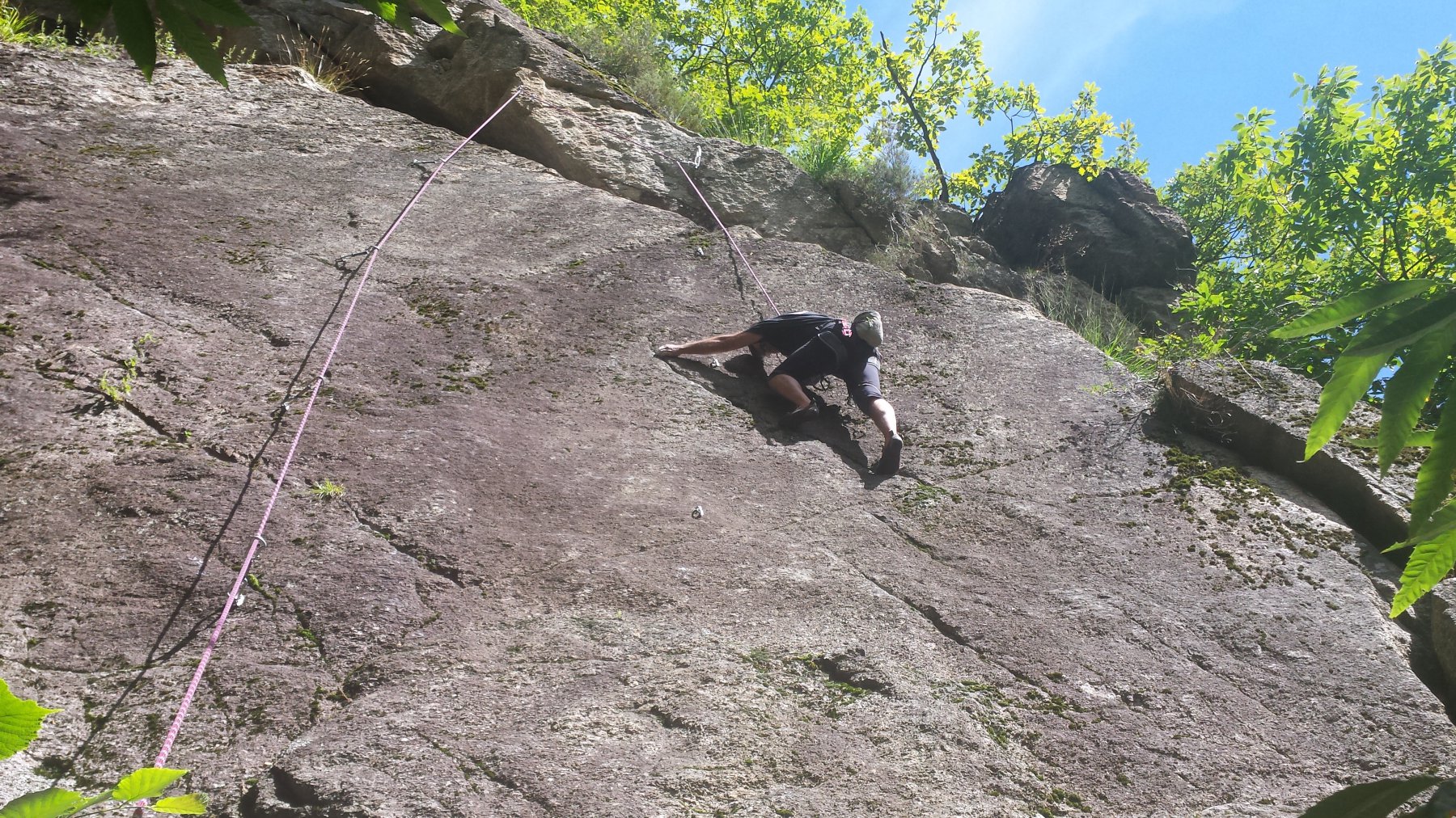 Massimo su Camera dei Lord