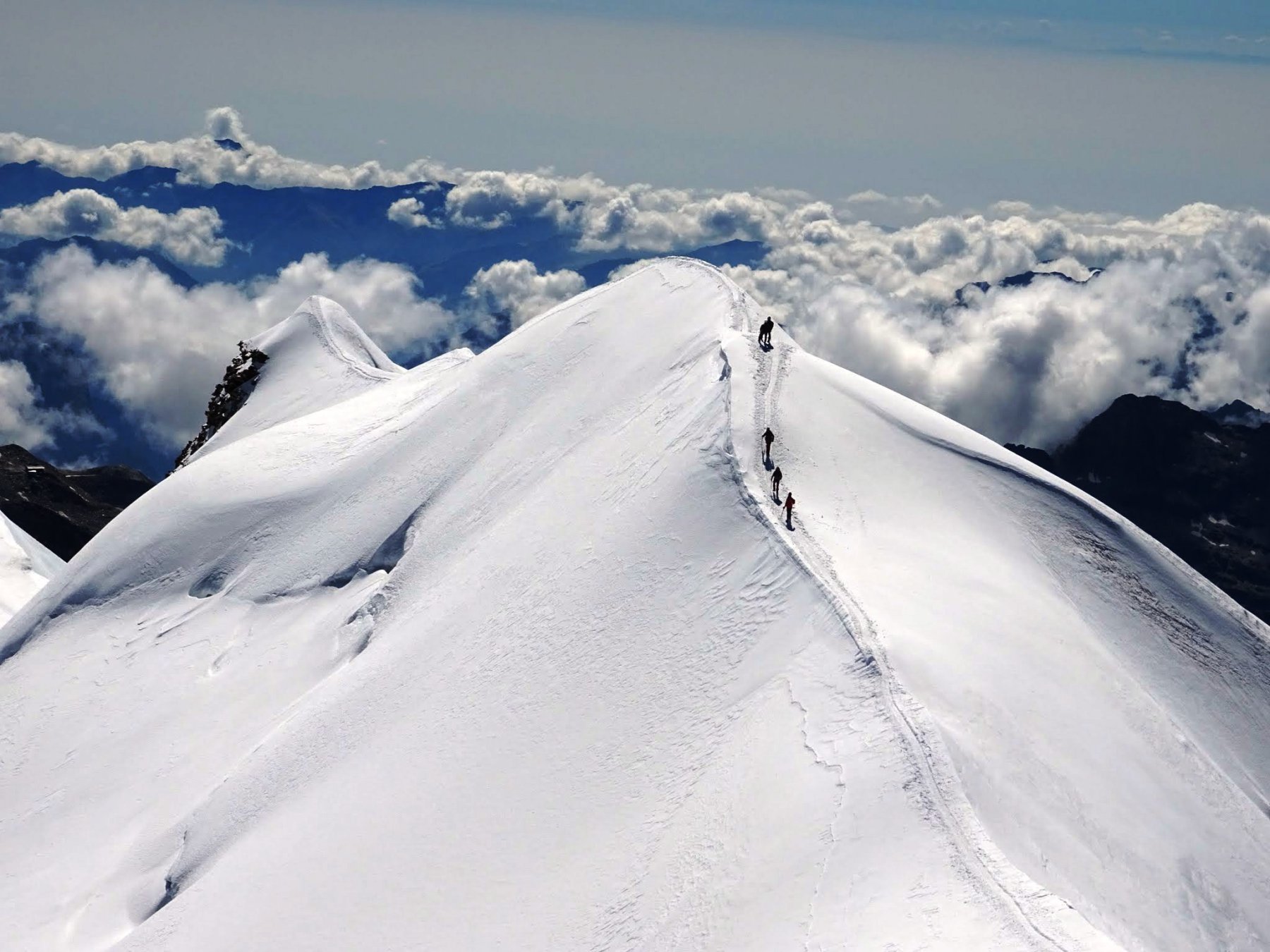 ritorno con coreografie naturali
