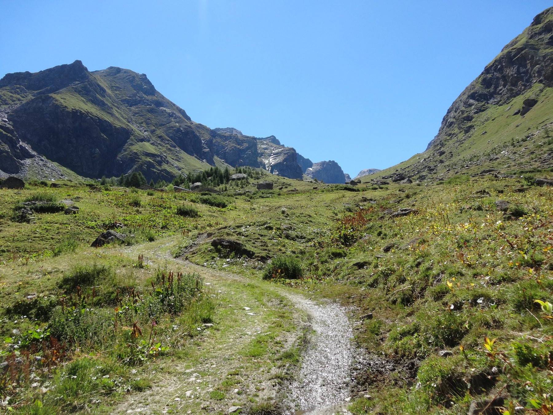 si arriva a grand alpe, da qui si prosegue spingendo la bici