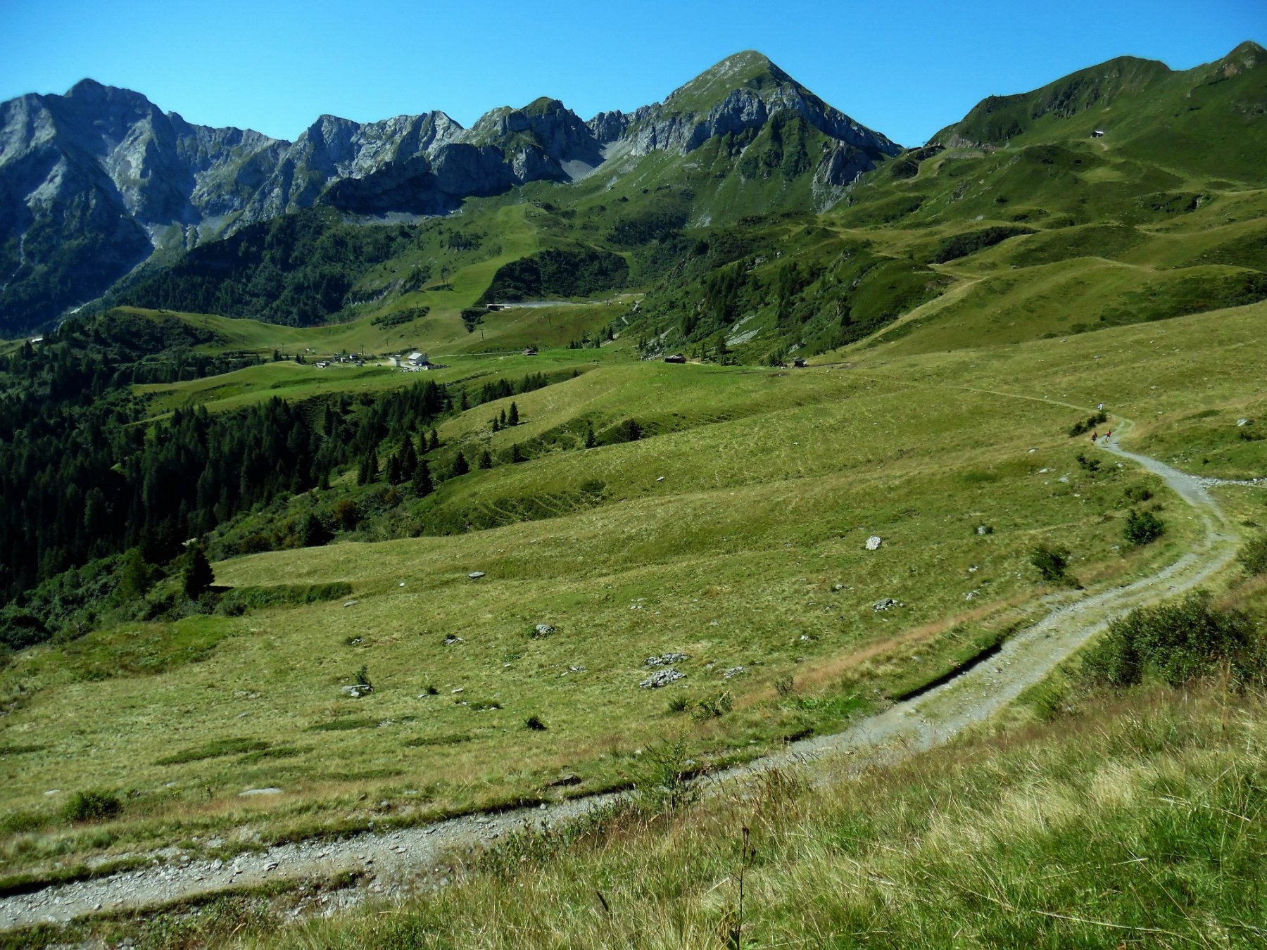Pegherolo, Cavallo, Baita Camoscio e sterrata per passo Tartano/Lemma