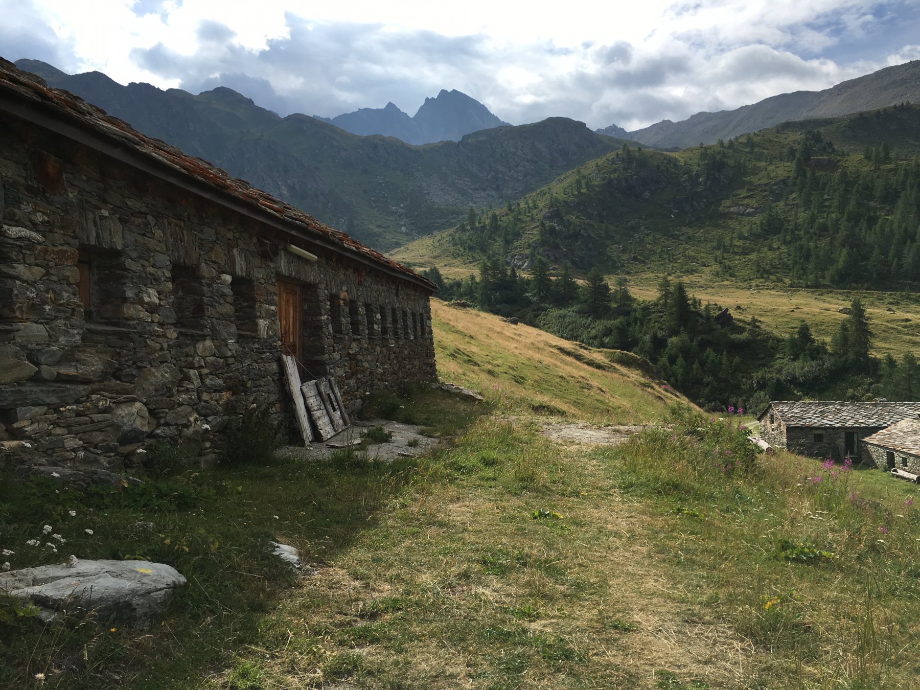 All’alpe di Bois si vede la Becca di Tey