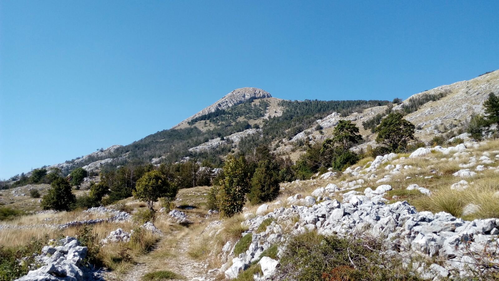 La cima del Jezerski Vrh dal sentiero di salita, tratto iniziale
