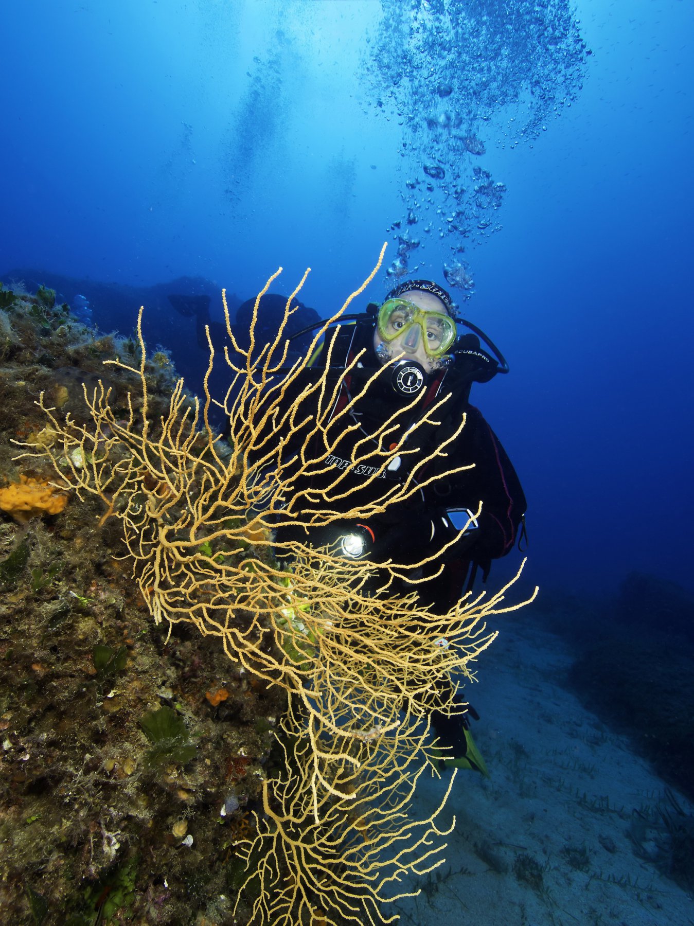Mariuccia con le gorgonie