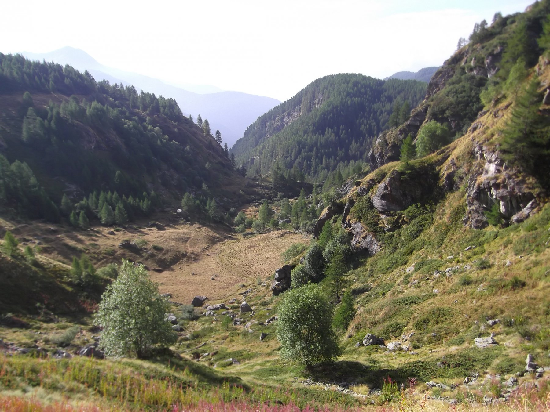 Vallone di salita dai pressi del lago.