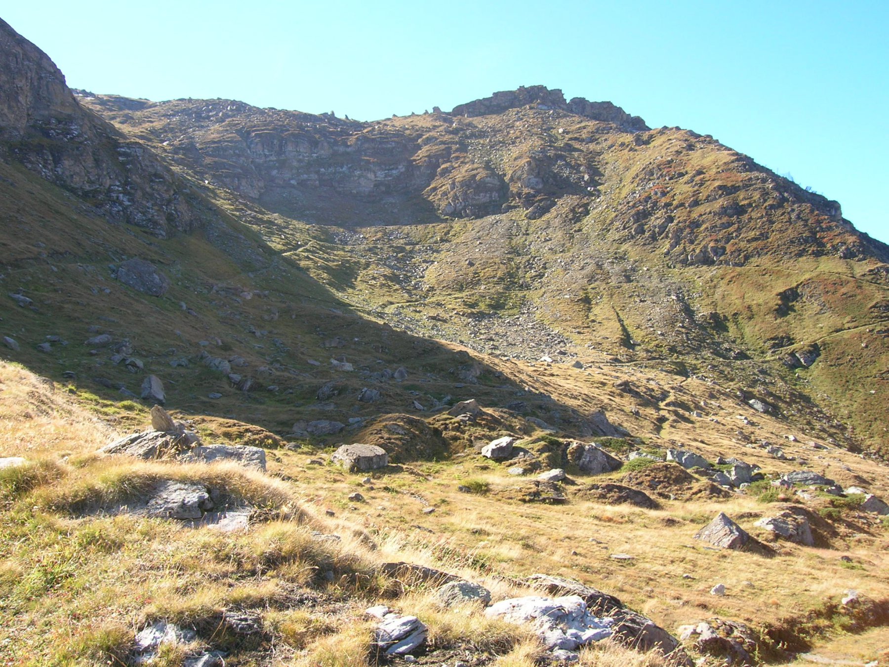 i 4 Denti ben visibili al centro