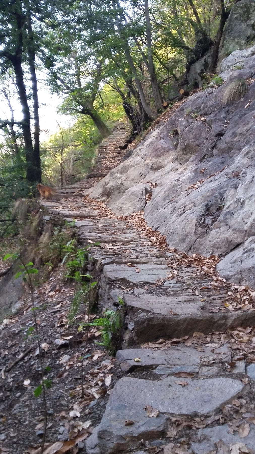 Tratto di splendida mulattiera