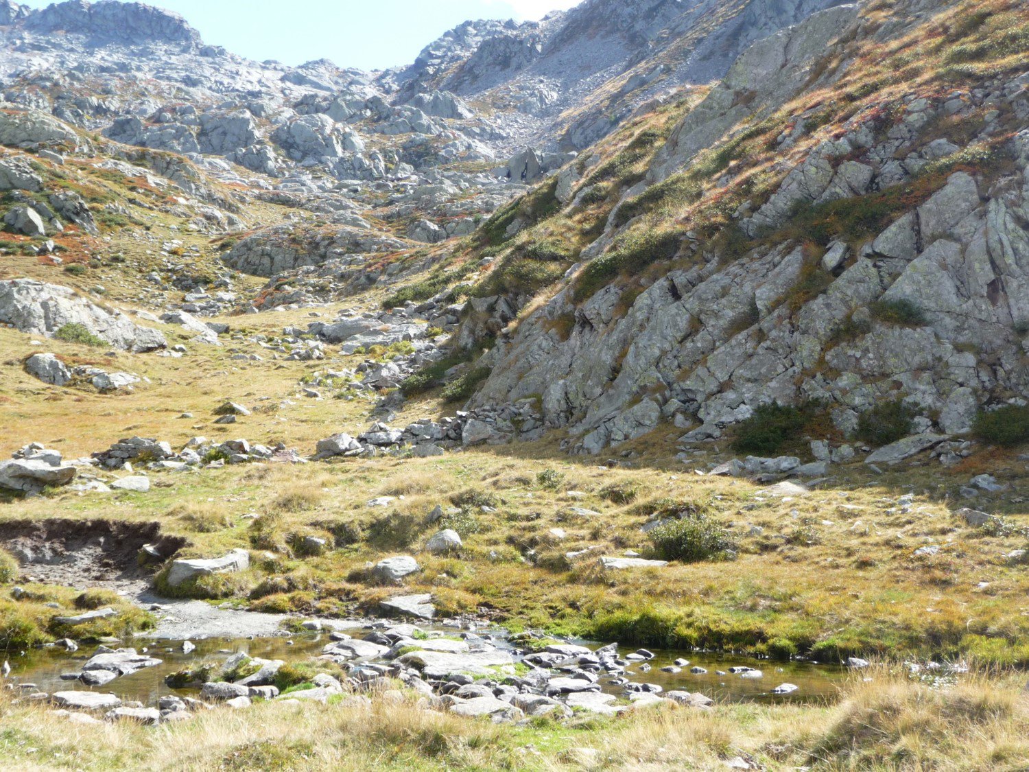 il Colle visto dall'Alpe Maccagno