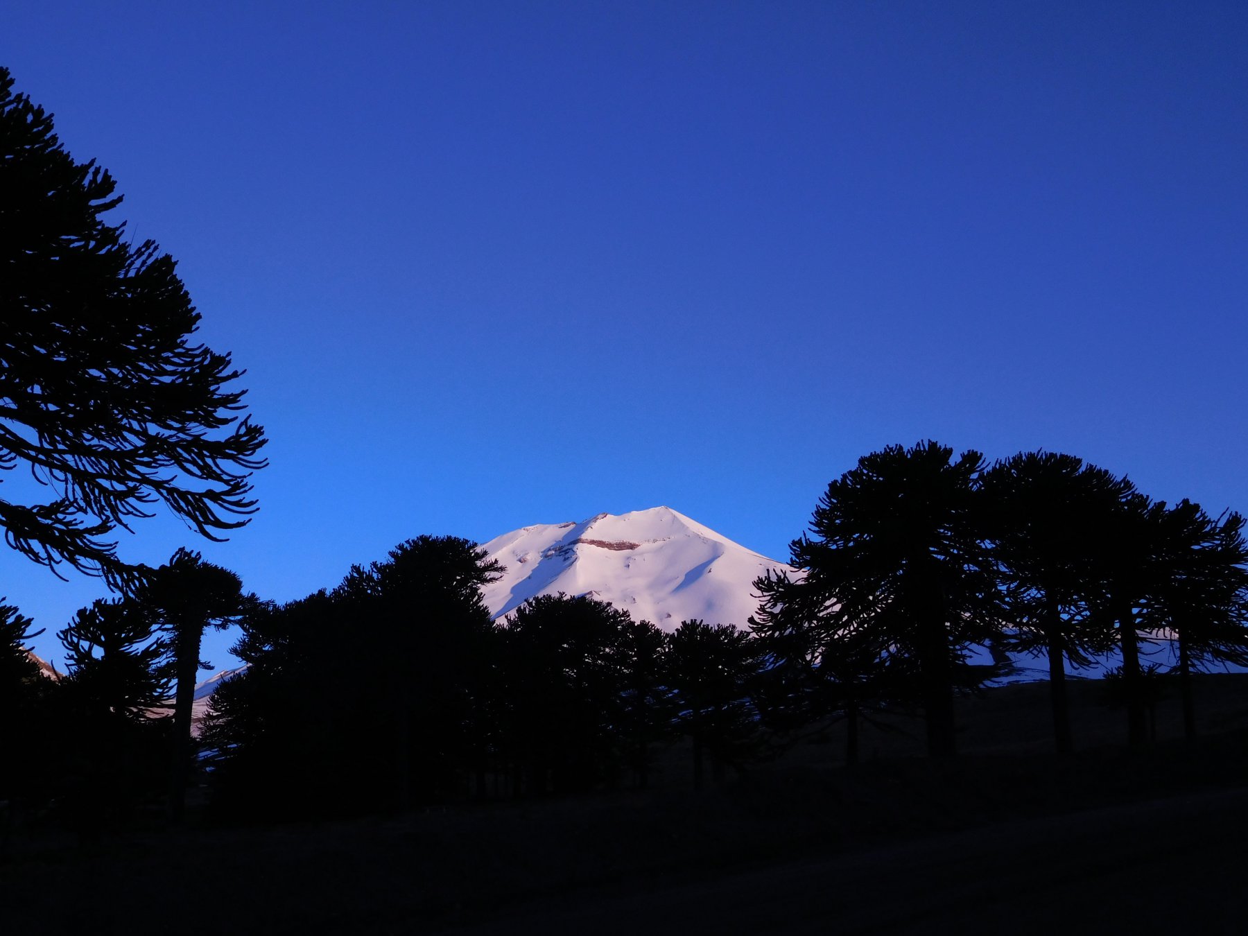 una mattina in Cile....