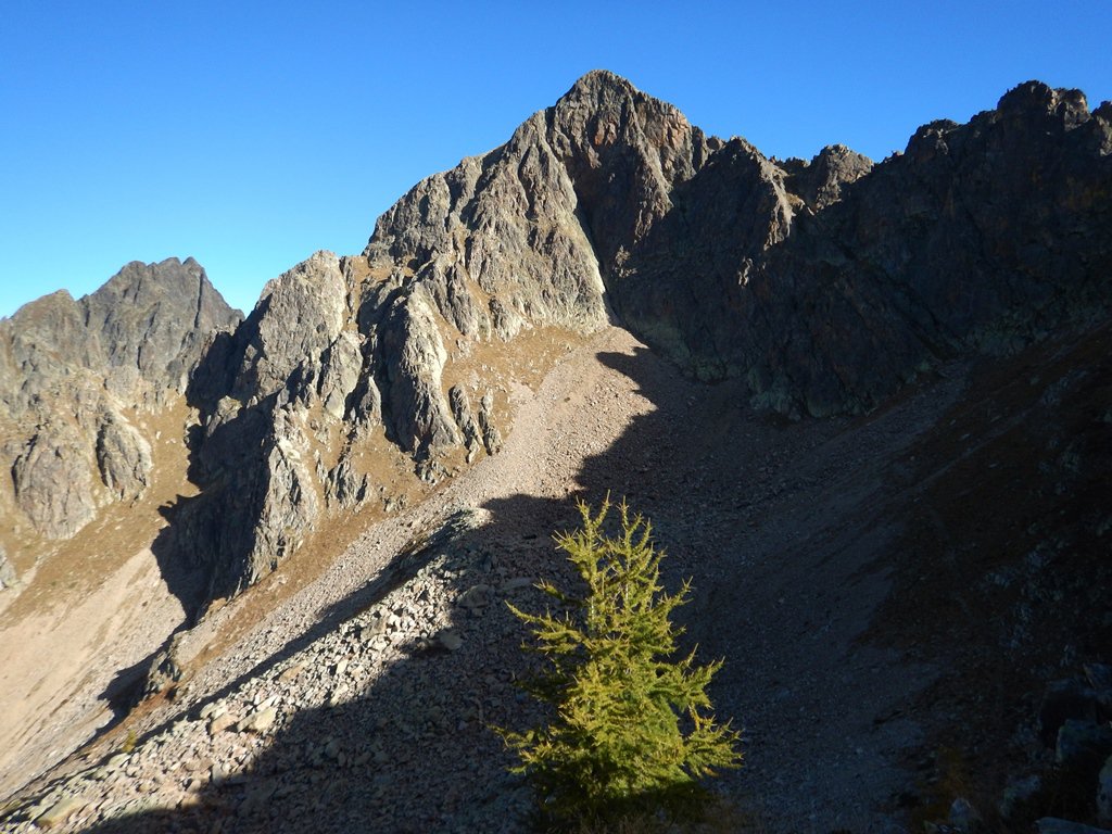 A sinistra dell'ombra, in centro, la via