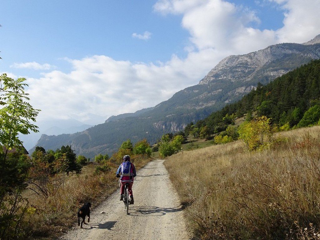 Zar corre dietro Carla