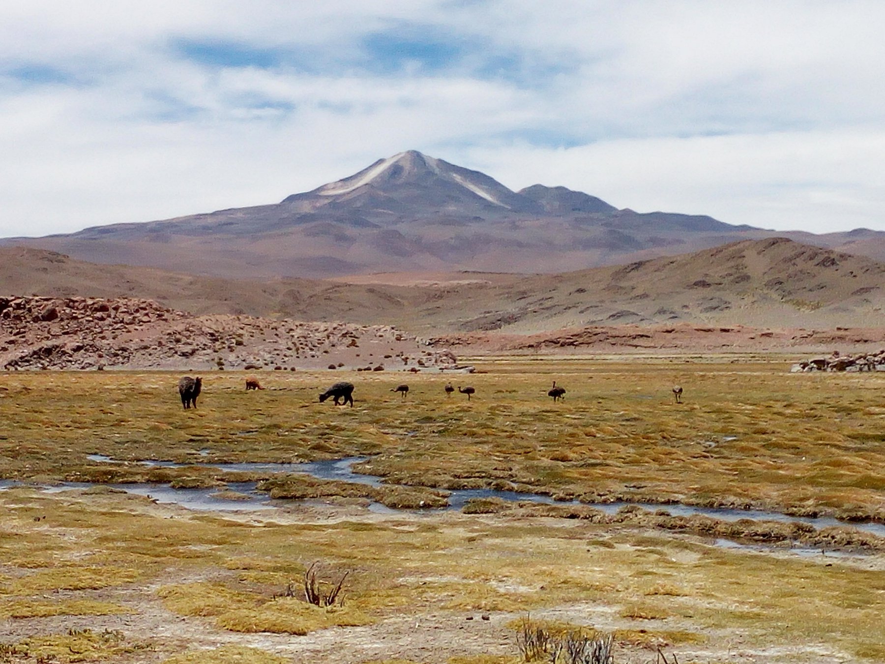 Bellissimo ambiente a Quetana Grande e Chico