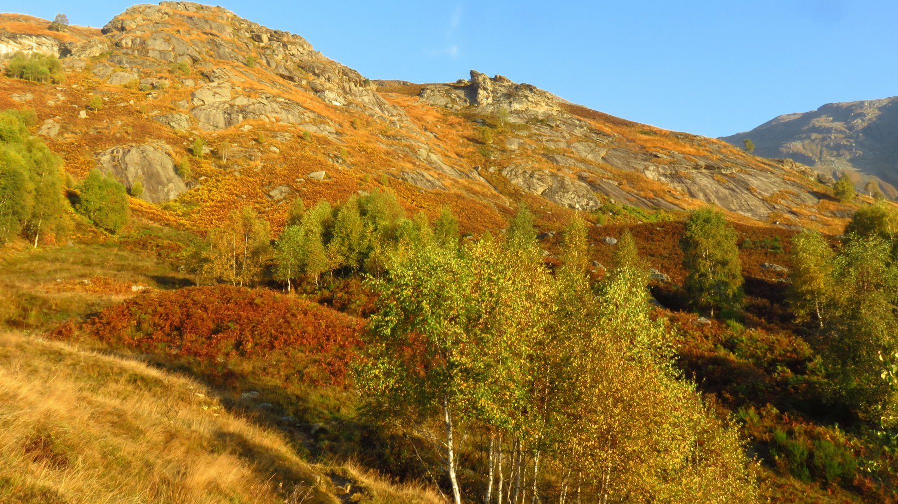 In salita, poco oltre la Casa Brusamosca