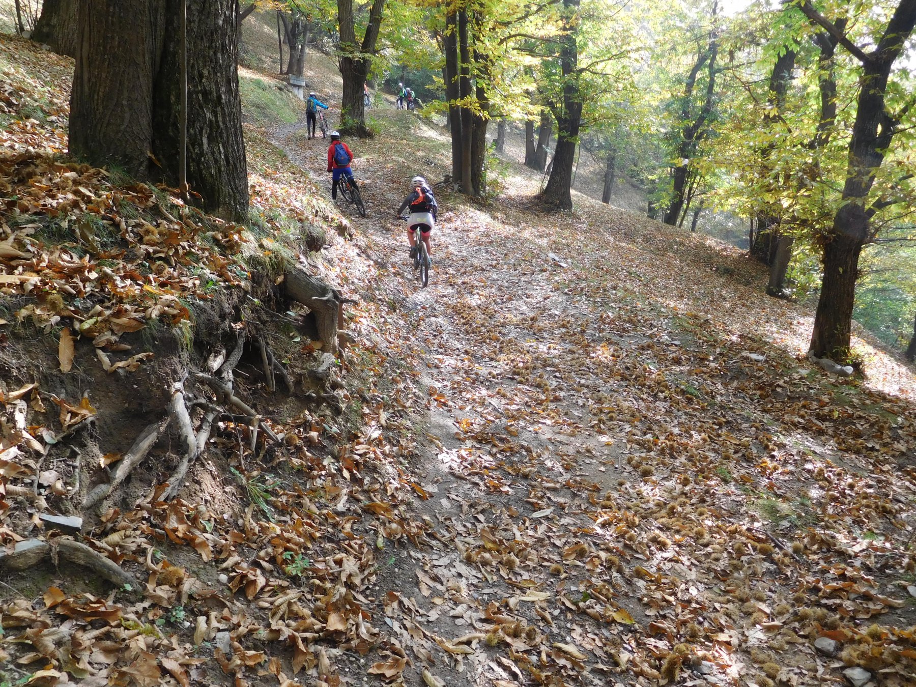 tra i bellissimi boschi di castagni