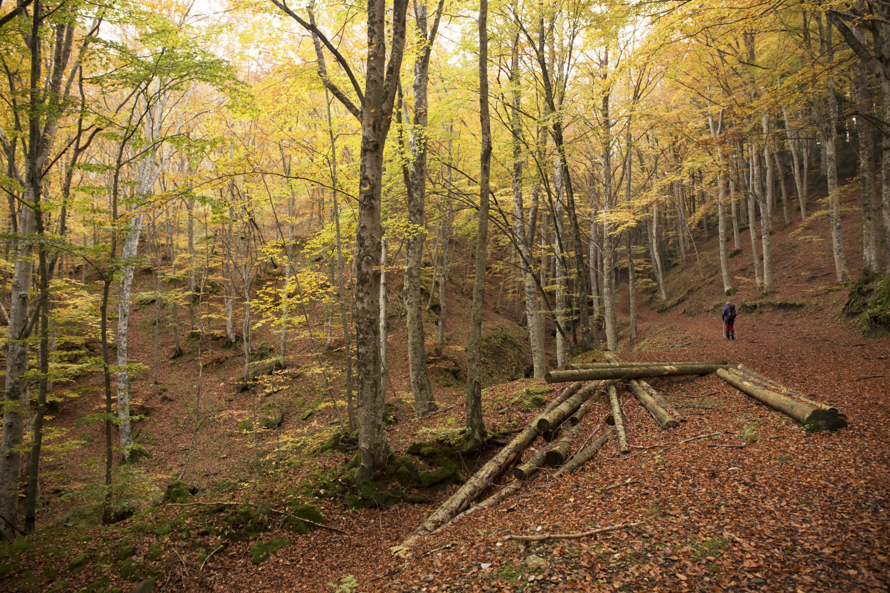 Salita al Passo dei Mandrioli