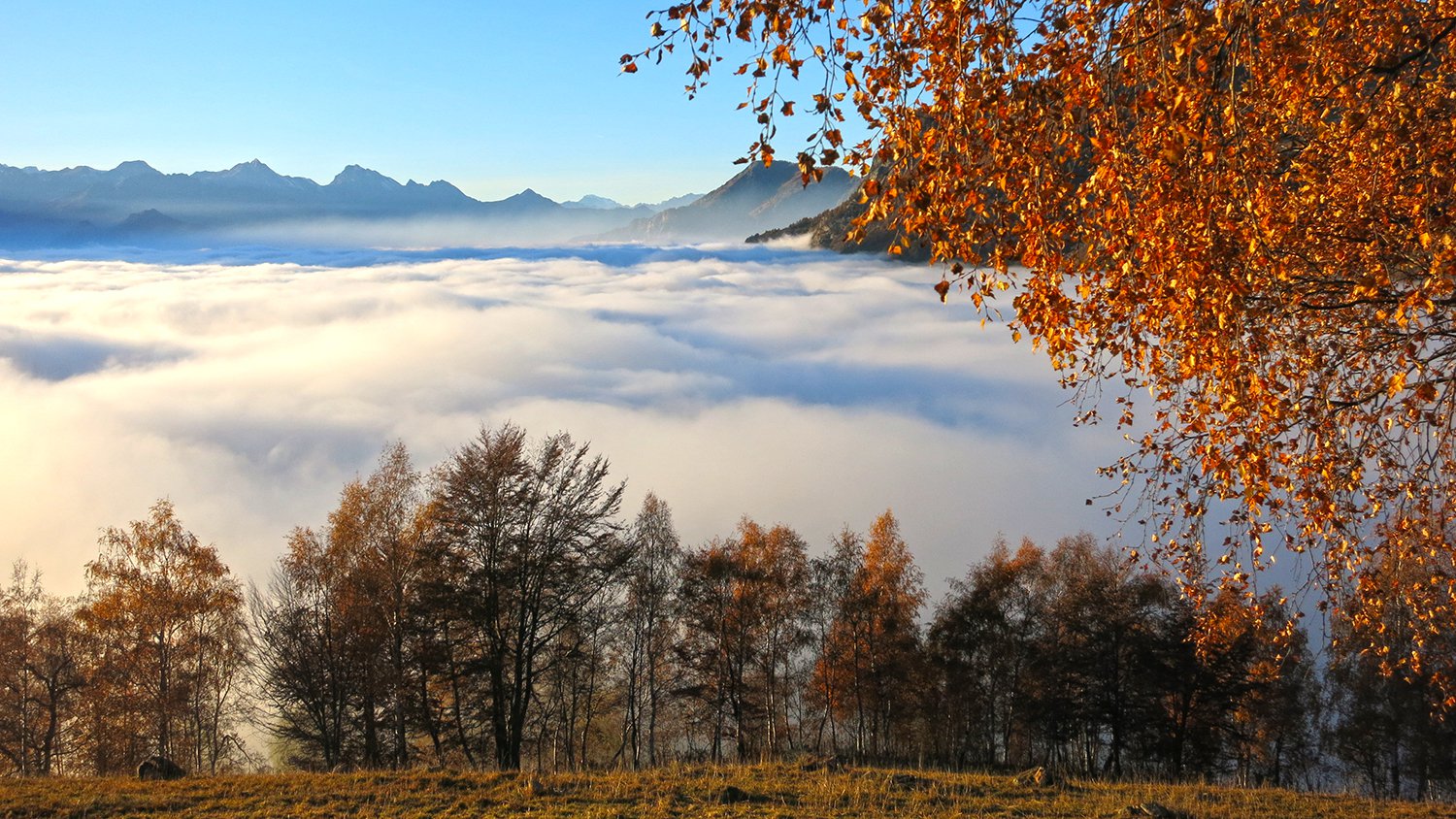 Spettacolo della natura