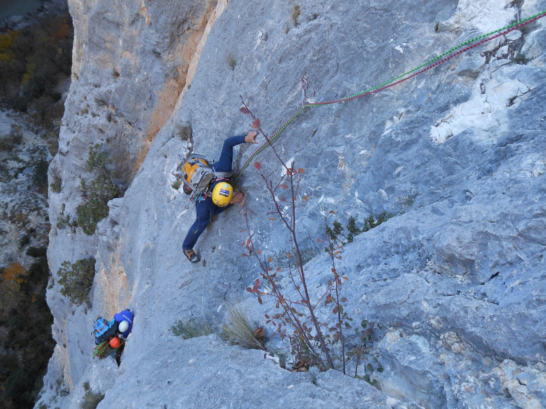 bellissimi movimenti