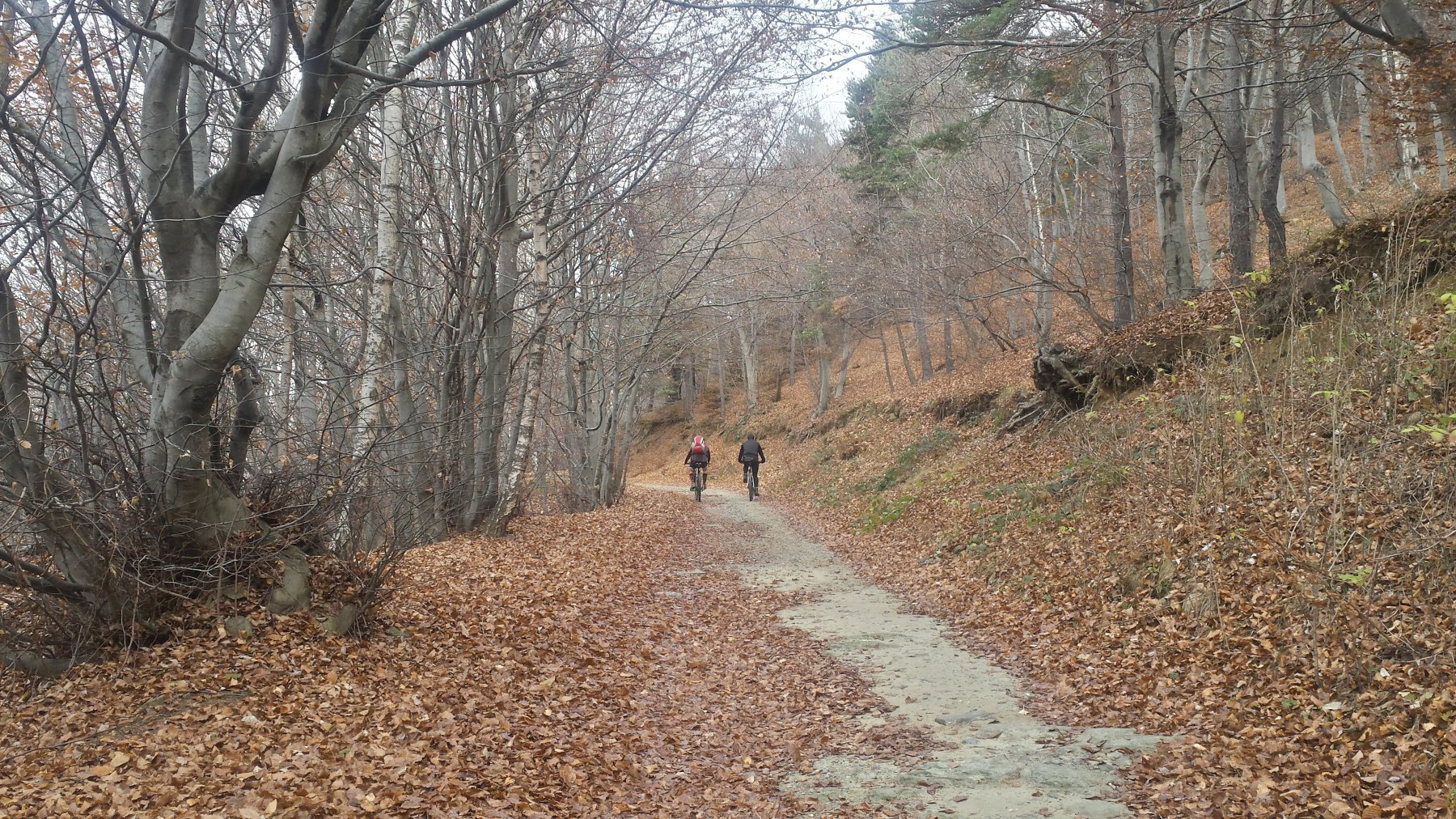 ANZIANI CICLISTI SUL VIALE DEL TRAMONTO