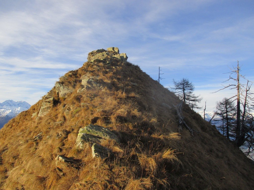 modesto pizzo di Colla Bassa