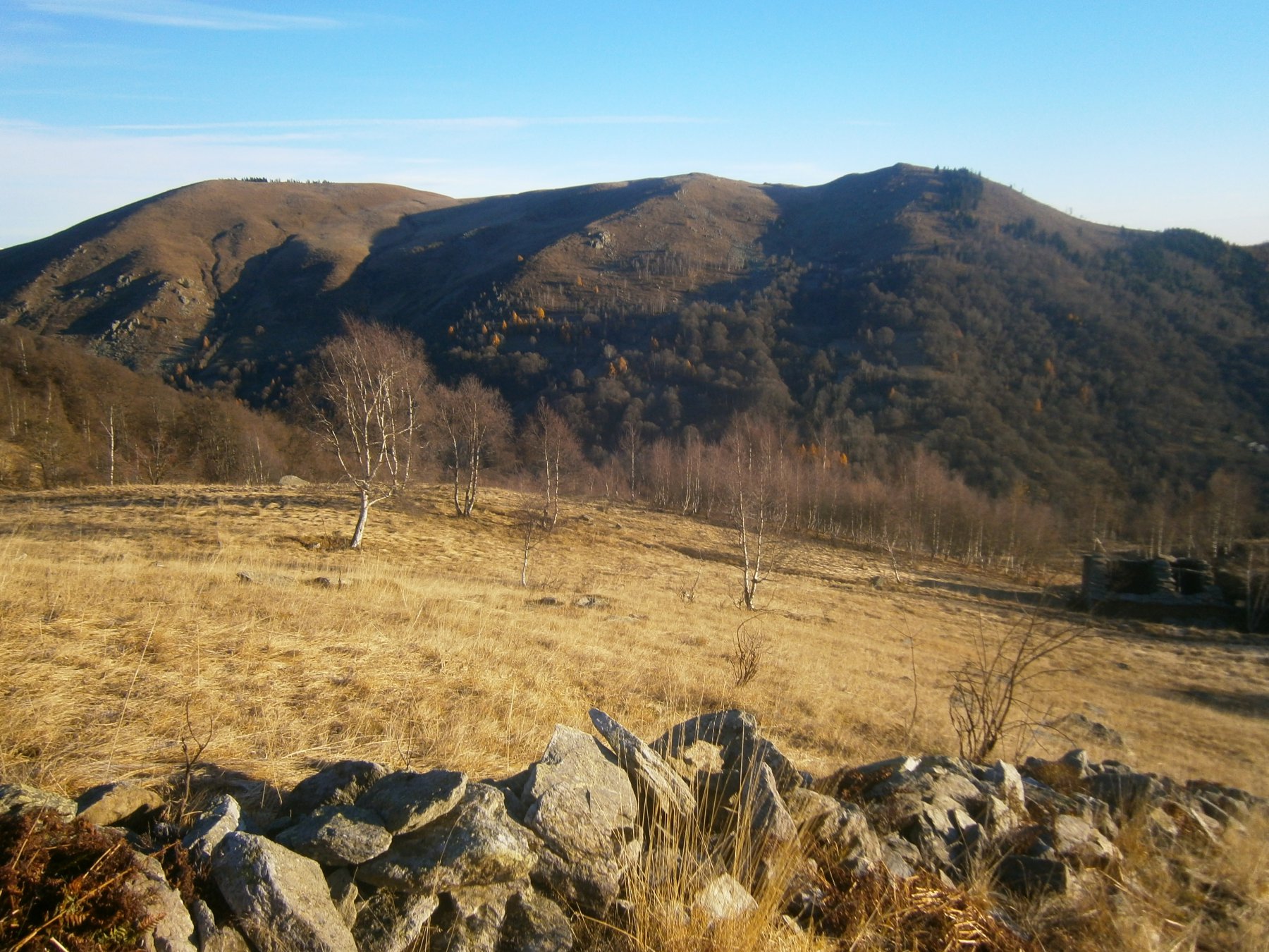 Bric(s) La Plata, Arpiol e La Costa